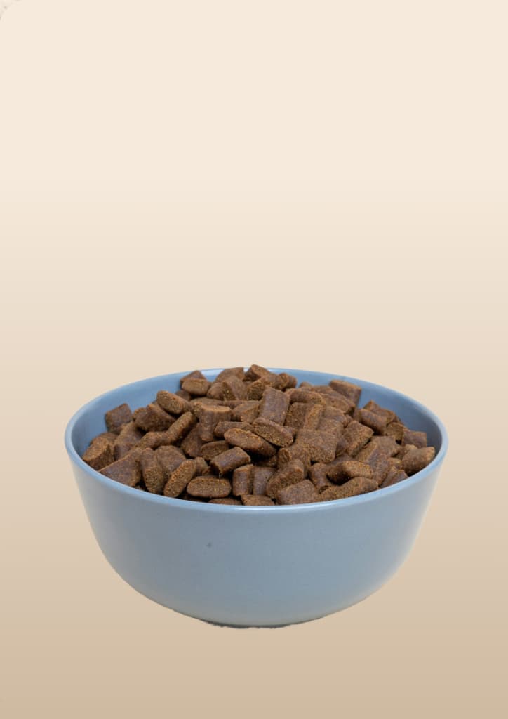 Kibble food bowl