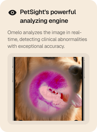 Omelo AI symptom checker analyzing pet health indicators