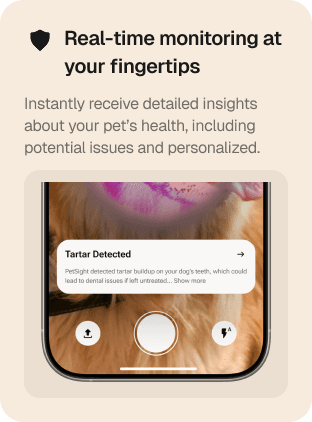 Omelo symptom checker with AI triage guidance