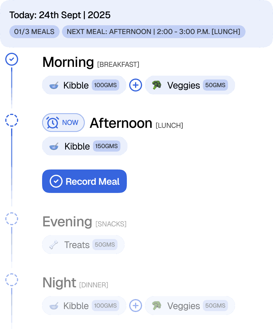 Wellness Planning