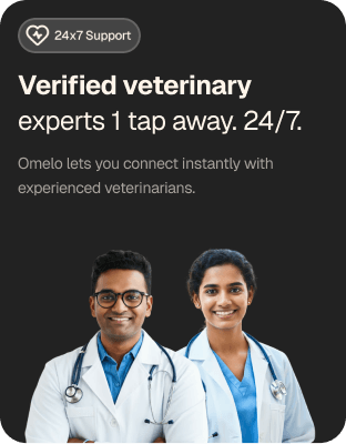 Omelo daily health log and AI triage feature
