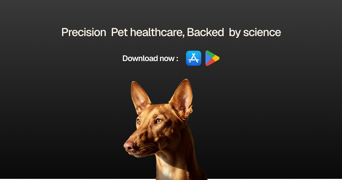 Omelo : AI Vet Doctor & Pet Parenting screenshot